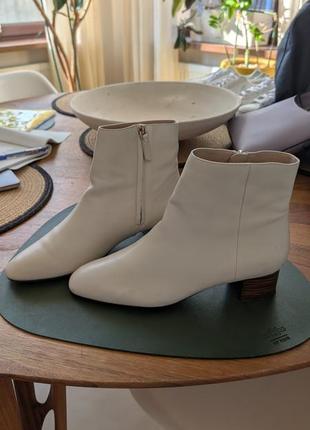 Черевики ankle boots шкіра nappa massimo dutti