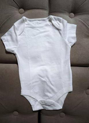 Боди короткий рукав