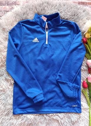 Жіночий спортивний реглан adidas 💙