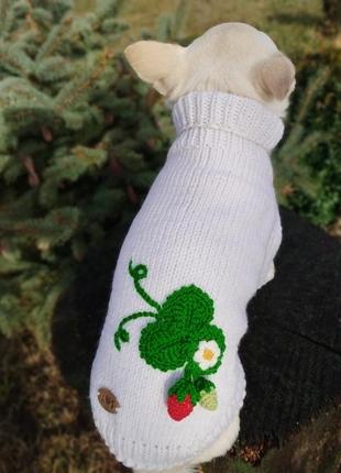Светр на маленьку собачку