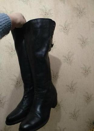 Сапоги , 🔥 clarks