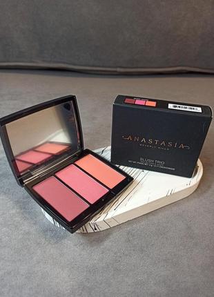 Палетка рум’ян anastasia beverly hills blush trio palette - berry adore, 9 г