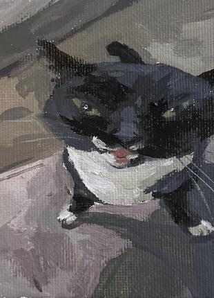 Котик (дурник). картина олією, мем. декор для дому