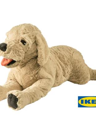 Мягкая игрушка ikea gosig golden (икеа госиг голден). собака