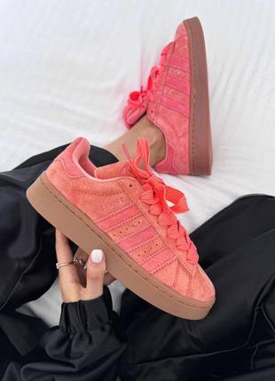 Кросівки And adidas campus