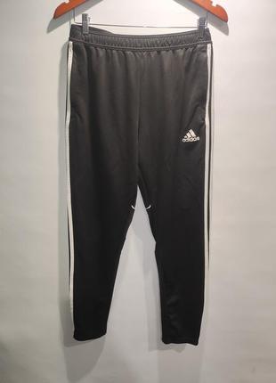 Спортивнi штани adidas