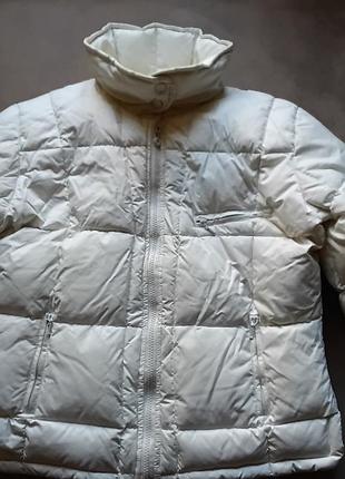 Chicoree пухова куртка м