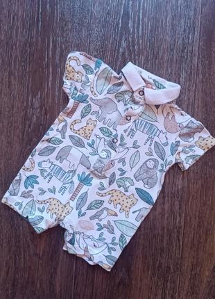 Песочник nutmeg