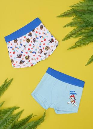 Труси дитячі для хлопчика 2