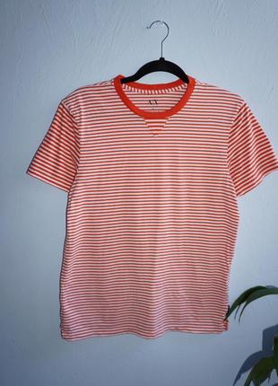 Смугаста бавовняна футболка emporio armani