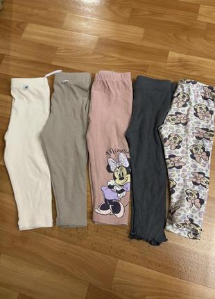 Набір лосин