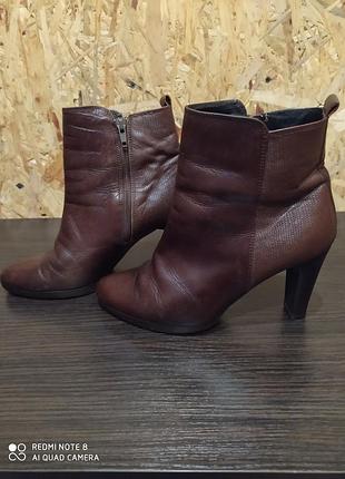 Ботильйони