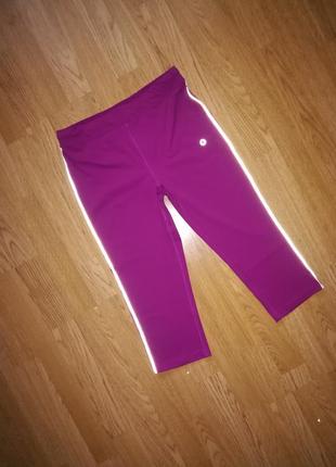 Спортивні жіночі легінси бриджы капрі alex німеччина, розмір m