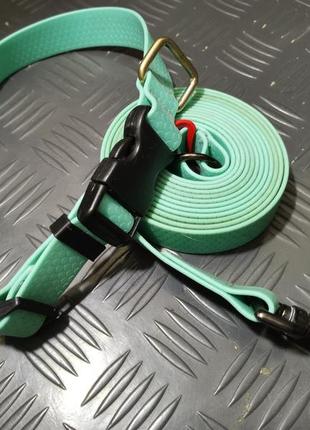 Комплект, набор ошейник + поводок ментоловый