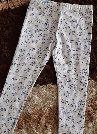 Лосины хлопковые primark 4