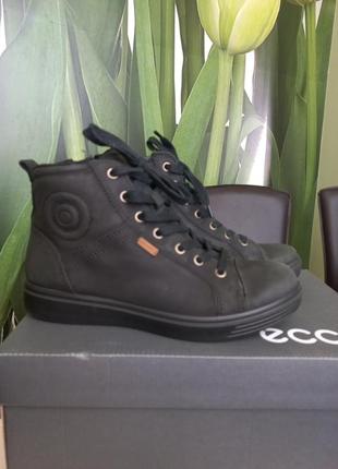 Черевики ecco 36р.
