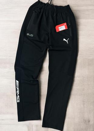Мужские спортивные штаны puma