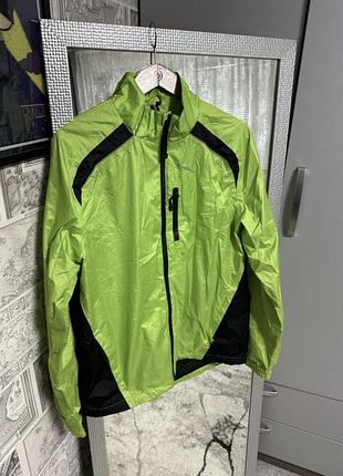 Вітровка чоловіча