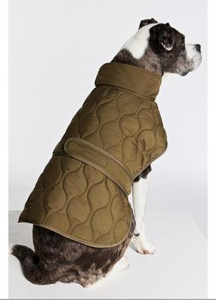 Стеганая куртка для собак h&m