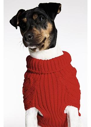 Свитер для собаки h&m большой размер