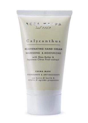 Acca kappa calycanthus rejuvenating hand cream омолаживающий крем для рук полногонтов 75 мл