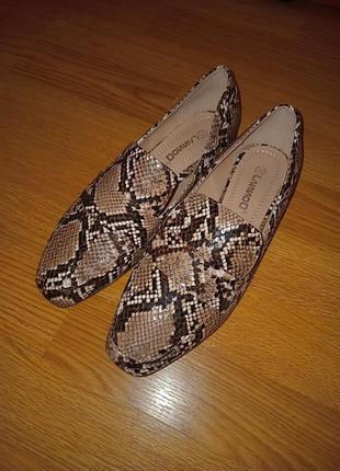 Балетки бежевые с принтом