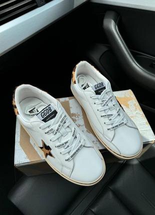 Кеди golden goose