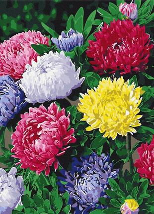 Картина по номерам разноцветные астры bs54120 40х50 см