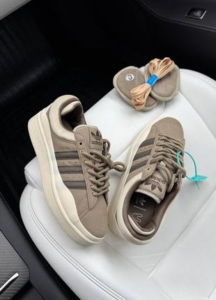 Кросівки zappos adidas superstar men brown pants