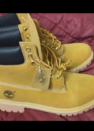 Черевики тімберленд 42 розмір