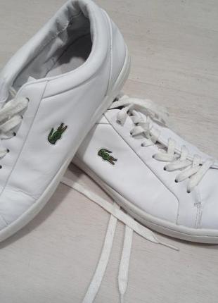 Кросовки lacoste