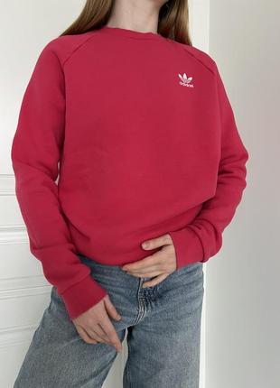 Малиновый свитшот adidas