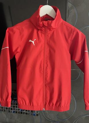 Вітровка puma оригінал 7/8 років