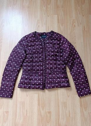 Куртка в горошек