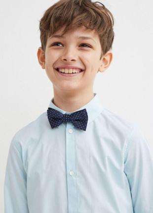 Галстук-бабочка h&m