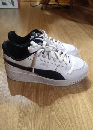Puma carina street оригінал