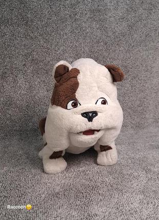 Мʼяка іграшка, бульдог, собака, собачка, churchill + подарунок