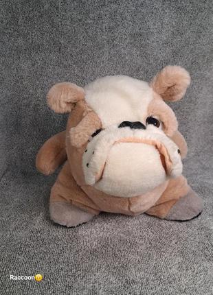 Мʼяка іграшка, бульдог, собака, собачка, pms + подарунок