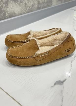 Капці ugg
