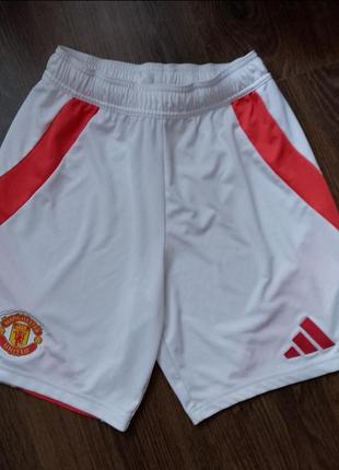 Шорты adidas manchester united 2024