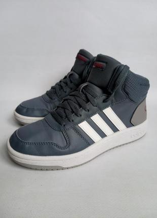 Кроссовки hobby adidas