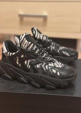 Кроссовки бренда ash. кожа. 39р.