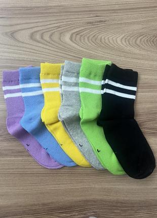 Шкарпетки, носки