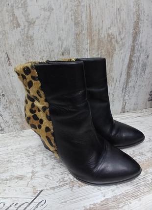 Чобітки тамарис