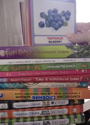 Щоденник слабака, гаррі поттер та інші дитячі книги