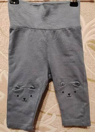 Сірі штанці з кошенятами 56-62