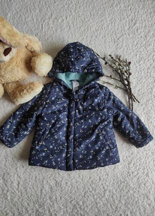 Куртка для дівчинки