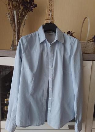 Стильная рубашка белая в голубую узкую полоску. 🔹фирма: h&m