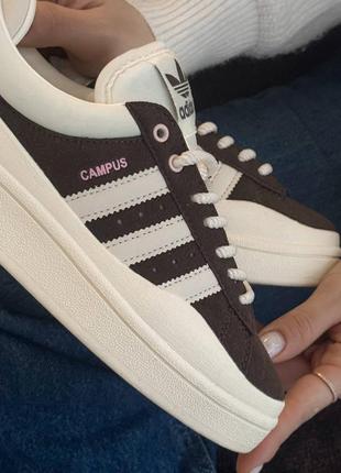 Кеды женские campus x bad banny brown