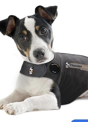 Футболка для животных